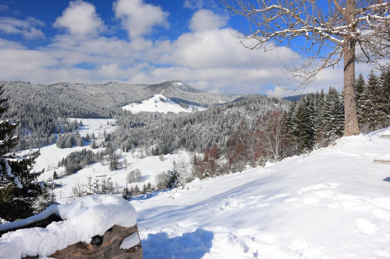 Galeriewohnung In Menzenschwand-Hinterdorf Exteriér fotografie